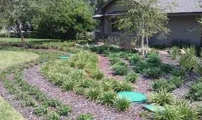 Top-rated lawn care service experts serving Oakland, CA - Busy Butler Landscape