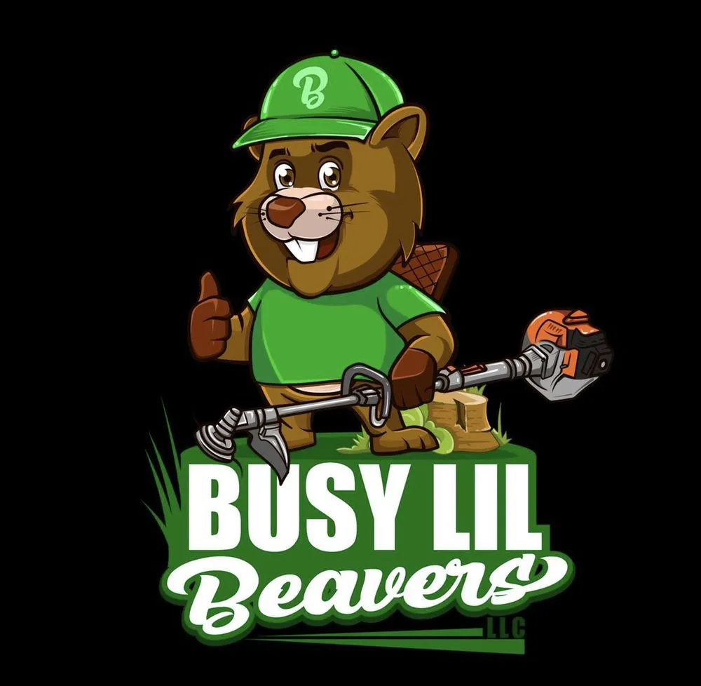 Affordable yard cleanup service near you across Elkhart, IN - Busy Lil Beavers