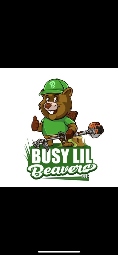 Trusted residential landscaping near you across Elkhart, IN - Busy Lil Beavers