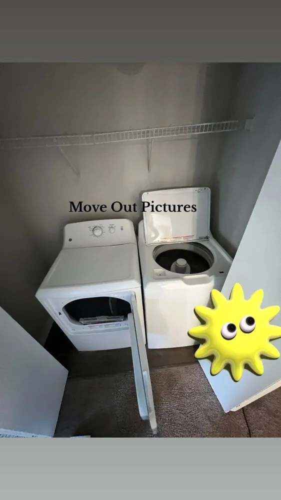 Reliable yard cleanup service experts serving La Crosse, WI - Busy Lizzie