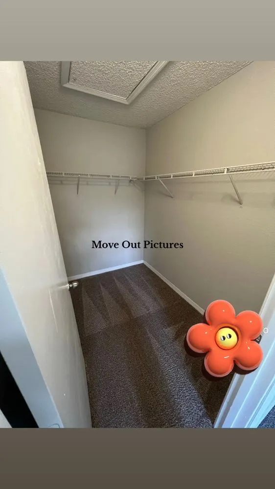 Expert landscaping services in La Crosse, WI - Busy Lizzie