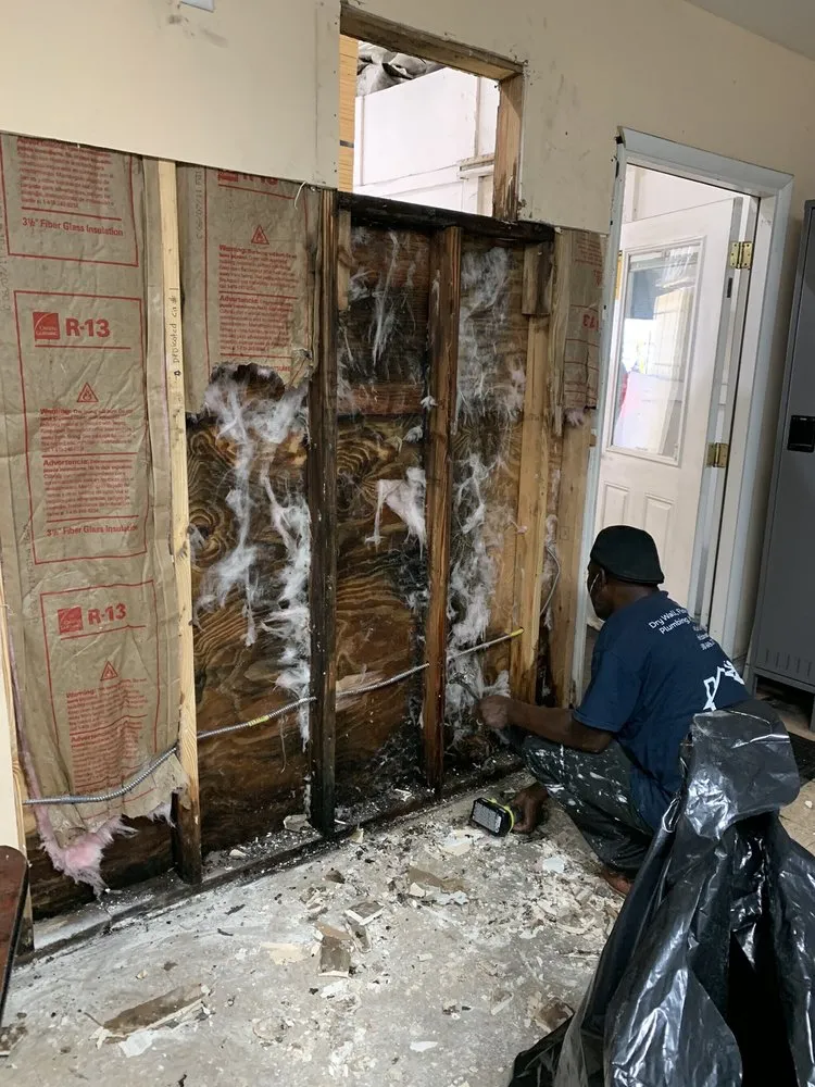 Top-rated residential landscaping for residential properties in Fort Lauderdale, FL by Busy Ricky Construction And Landscaping