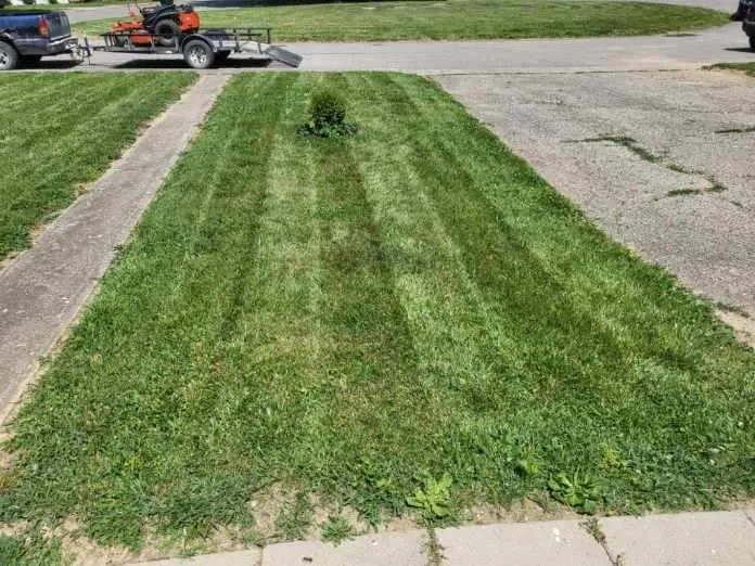 Local garden landscaping for beautiful yards across Piketon, OH - Busyman lawncare