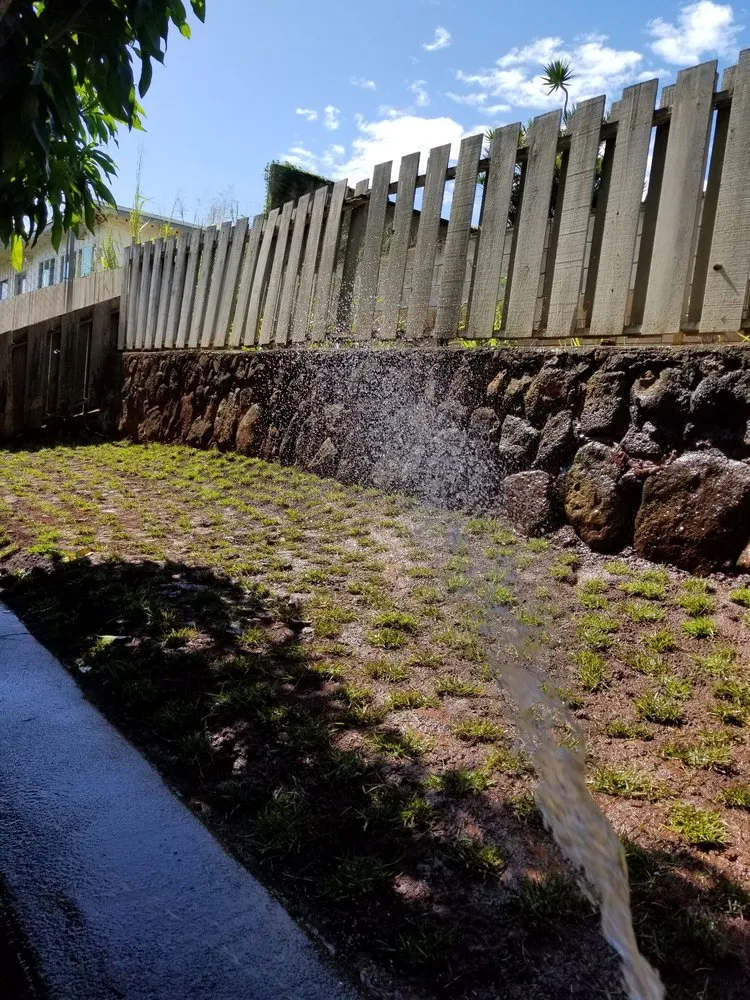 Custom lawn care service in Waipahu, HI by Butay Landscaping and Maintenance