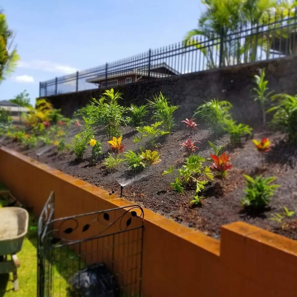 Local outdoor landscaping for outdoor upgrades across Waipahu, HI - Butay Landscaping and Maintenance
