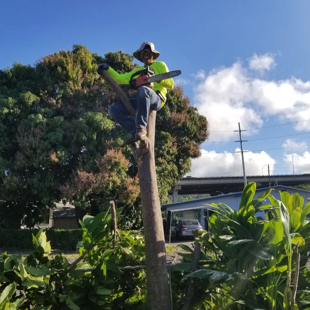 Expert landscape design for residential properties in Waipahu, HI by Butay Landscaping and Maintenance