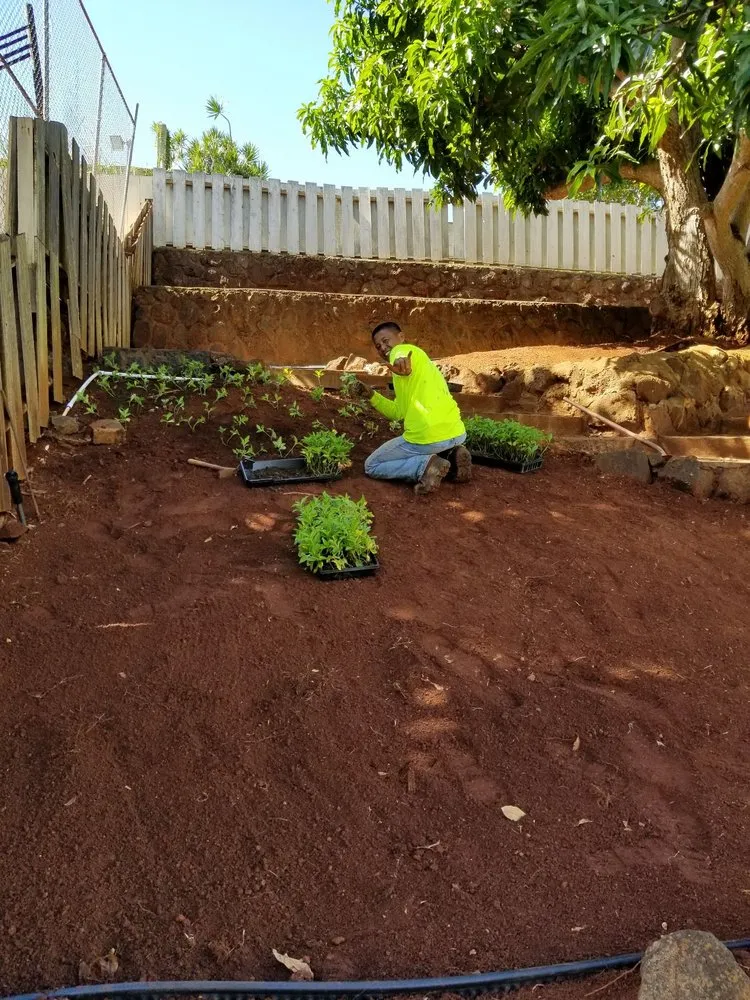 Professional lawn care service for outdoor upgrades across Waipahu, HI - Butay Landscaping and Maintenance