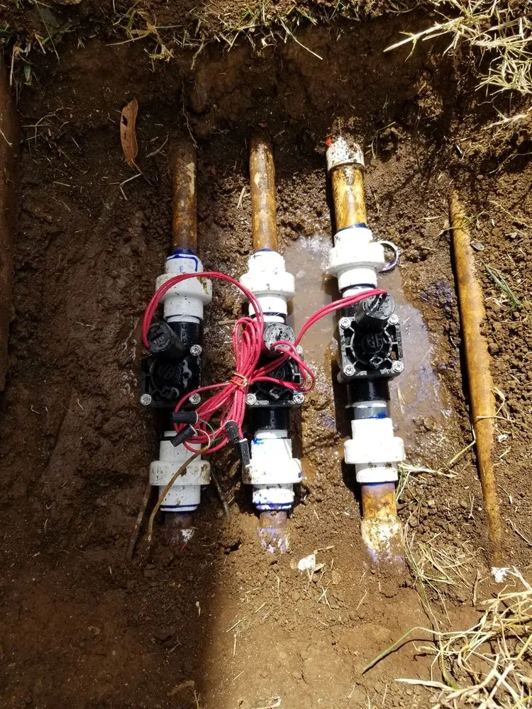 Reliable lawn care service experts serving Waipahu, HI - Butay Landscaping and Maintenance