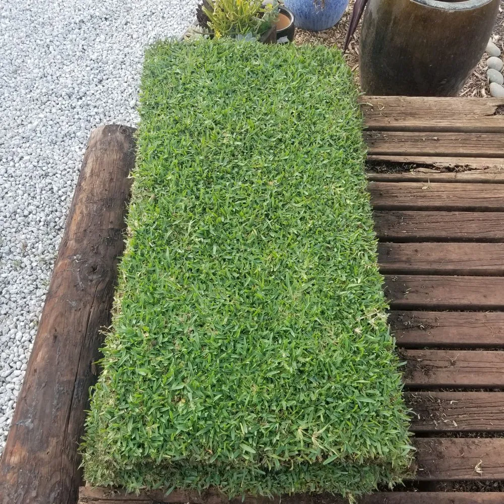 Custom lawn mowing service experts serving Waipahu, HI - Butay Landscaping and Maintenance