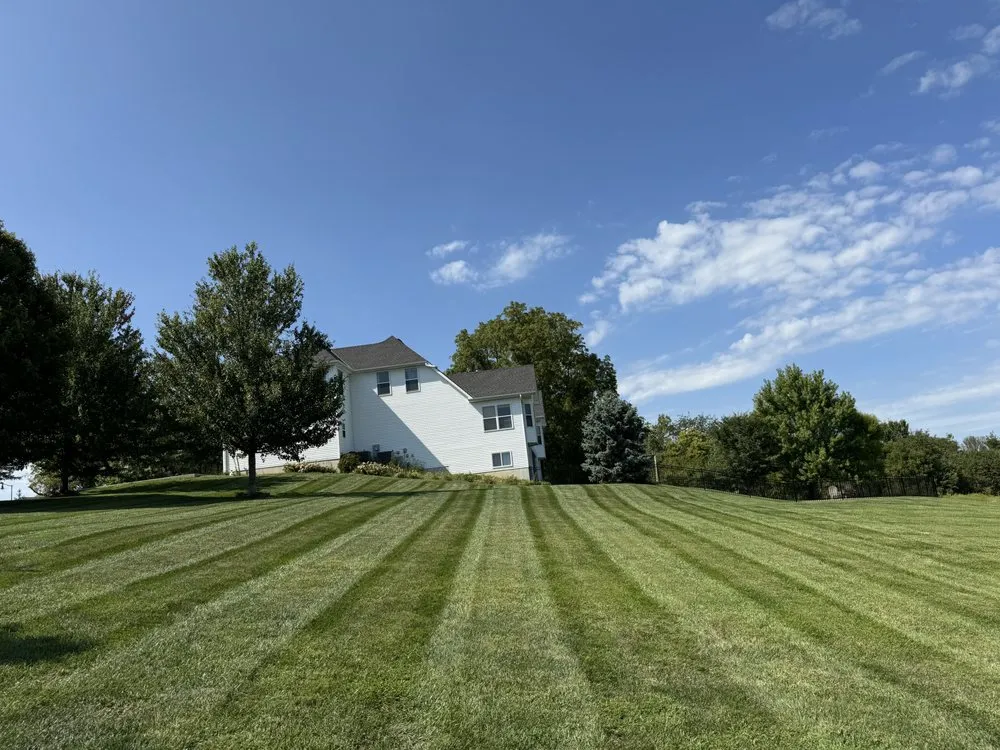 Expert yard cleanup service in Savannah, MO - Butcher Lawn Care