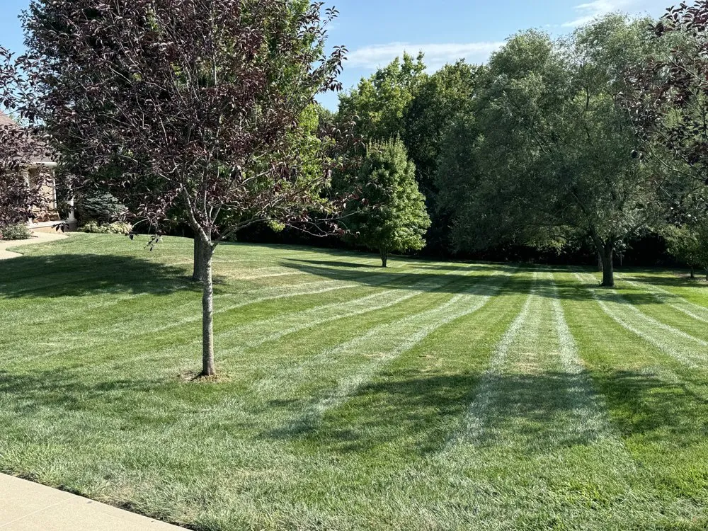 Professional landscape installation for residential properties across Savannah, MO - Butcher Lawn Care