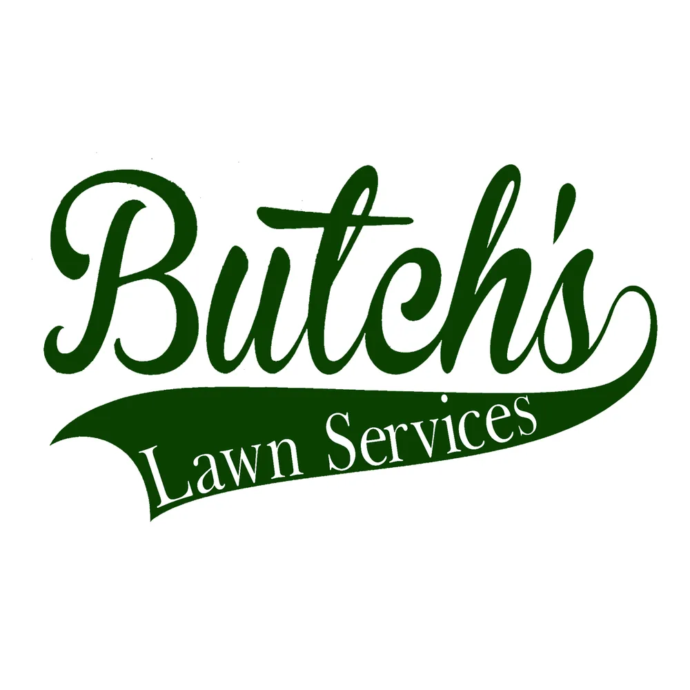 Reliable yard cleanup service in Odessa, TX - Butch's Lawn Services