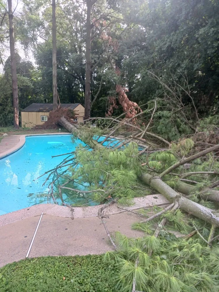 Trusted outdoor landscaping near you across Winchester, VA - Butchs Tree Services