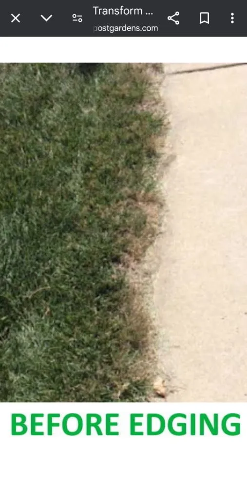 Local outdoor landscaping in Apopka, FL - Butler Land & Lawn