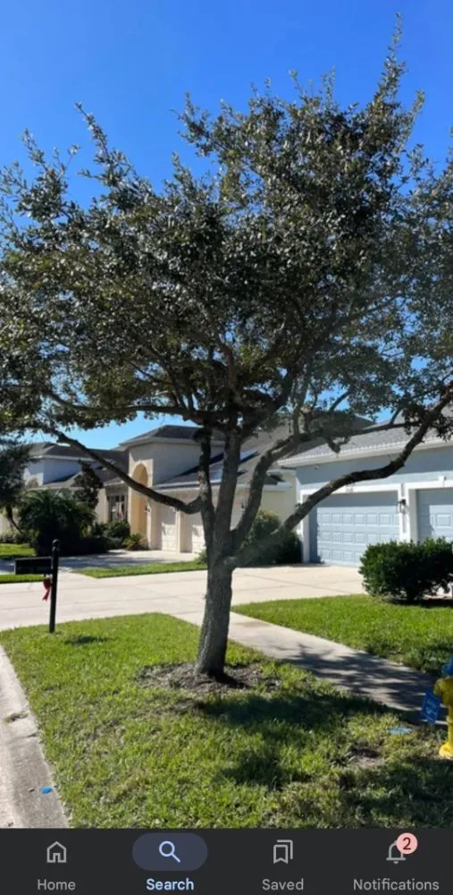 Top-rated landscaping services in Apopka, FL by Butler Land & Lawn