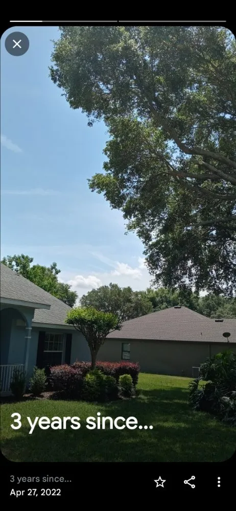 Reliable landscaping services in Apopka, FL by Butler Land & Lawn