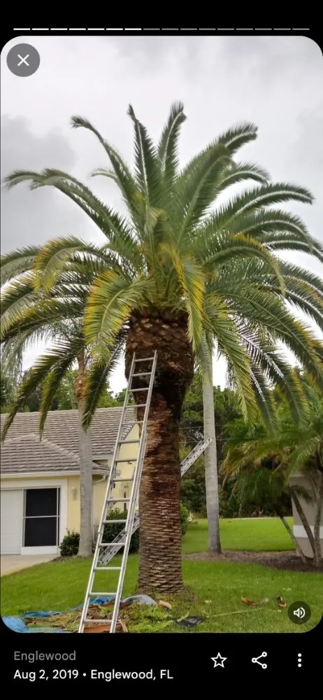 Expert outdoor landscaping for outdoor upgrades in Apopka, FL by Butler Land & Lawn