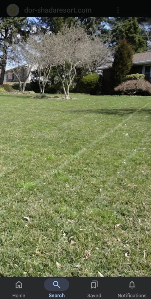 Reliable yard cleanup service in Apopka, FL - Butler Land & Lawn