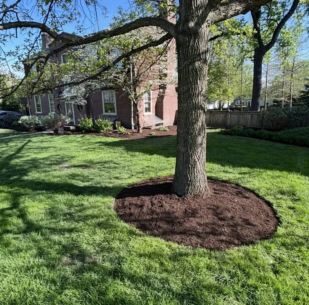 Reliable lawn mowing service in Saint Louis, MO by Butler Lawn & Land