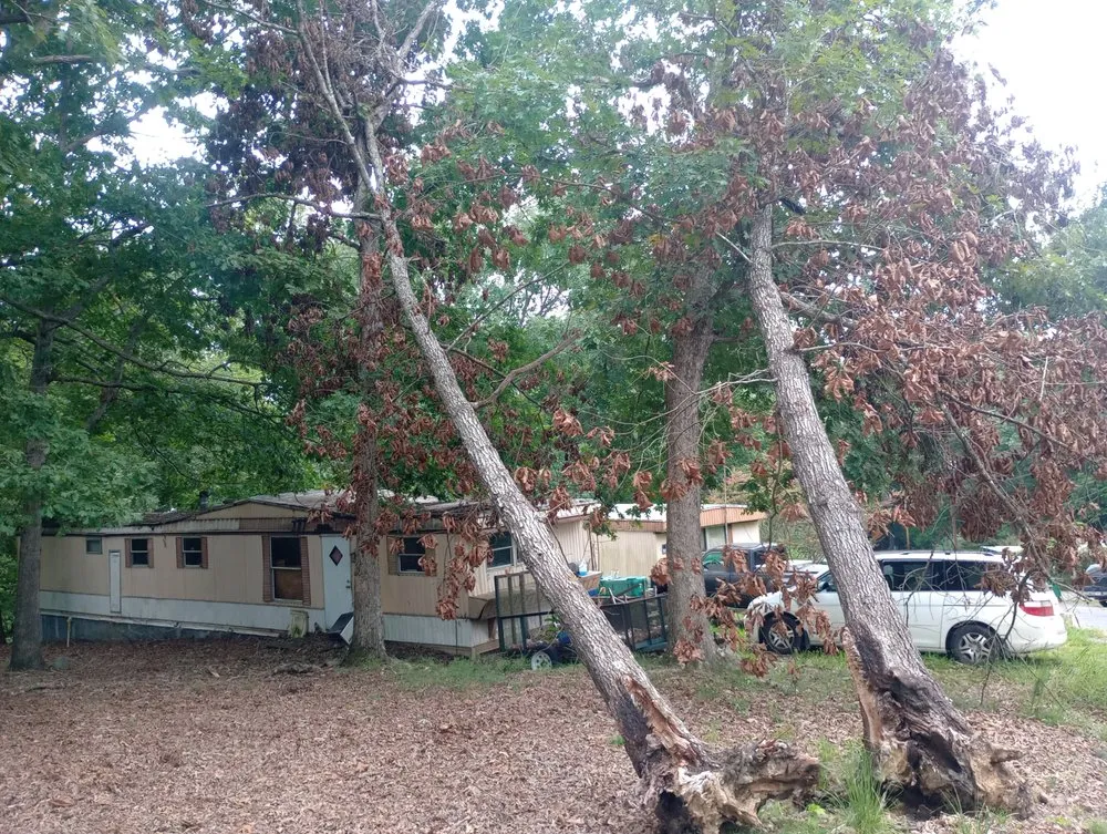 Top-rated landscape installation in Norwood, NC - Butler Lawn & Landscape