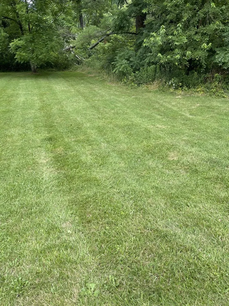 Top-rated lawn care service for beautiful yards in Uhrichsville, OH by Butler Mowing & Property Maintenance
