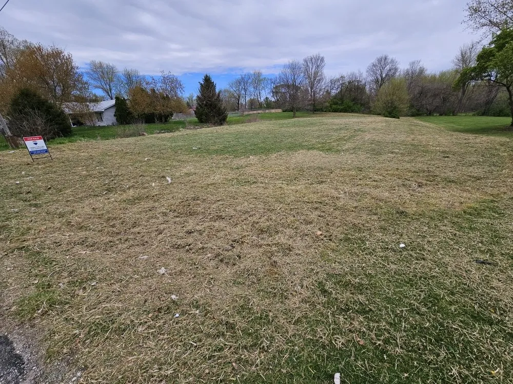 Professional lawn mowing service in Jacksonville, IL - Butler Mowing Services