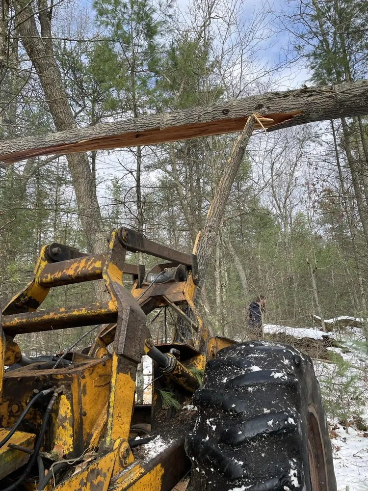 Local yard cleanup service for year-round maintenance across Stanwood, MI - Butler Outdoors