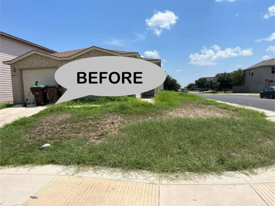 Affordable outdoor landscaping for year-round maintenance in San Antonio, TX by Butler Yard Masters