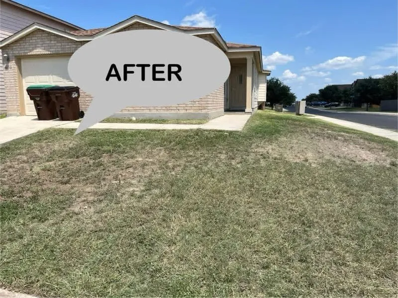 Local landscaping services in San Antonio, TX by Butler Yard Masters