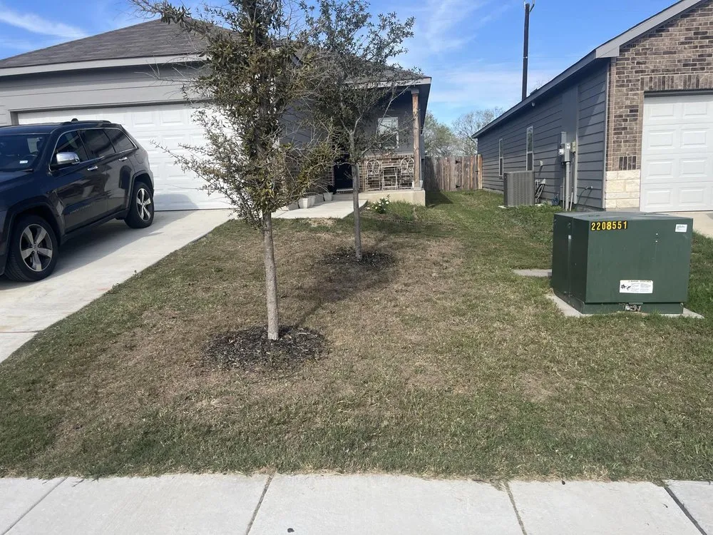 Professional landscaping services in San Antonio, TX by Butler Yard Masters