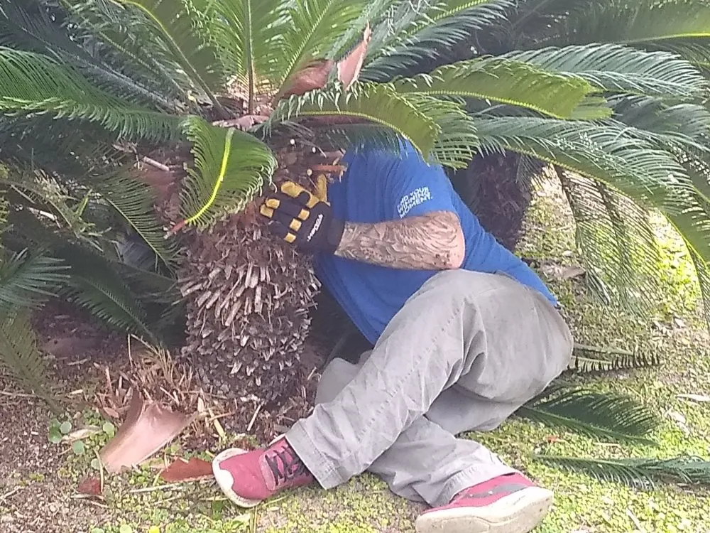 Affordable lawn care service for outdoor upgrades in Fort Walton Beach, FL by Butler's landscapes