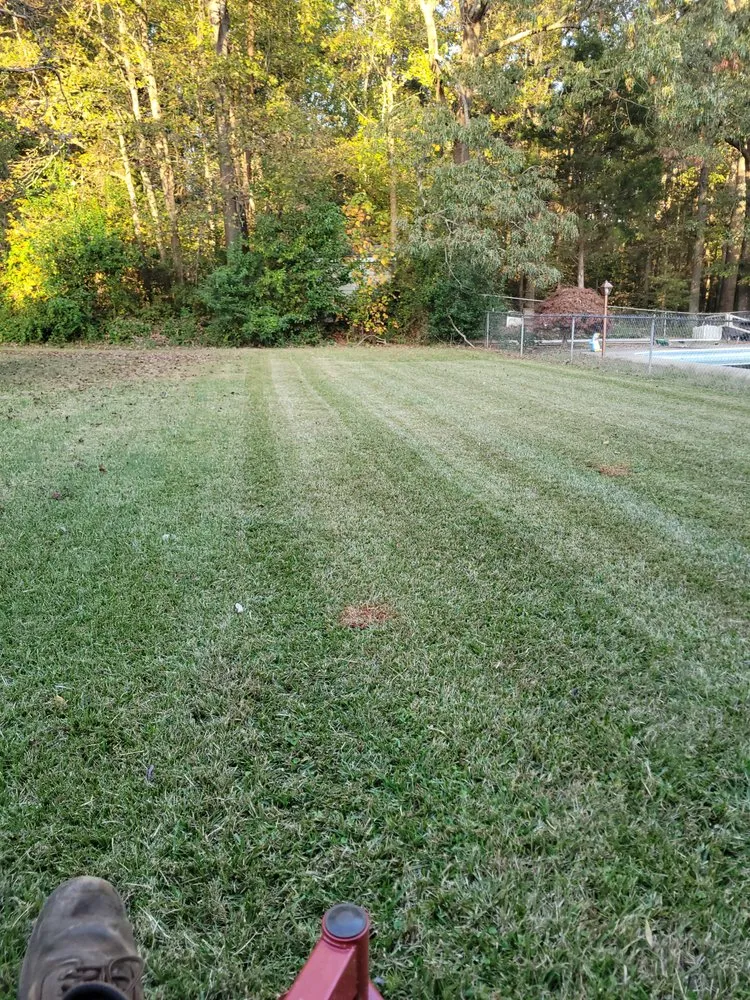 Expert lawn care service in Gastonia, NC - Butler's Lawn Service