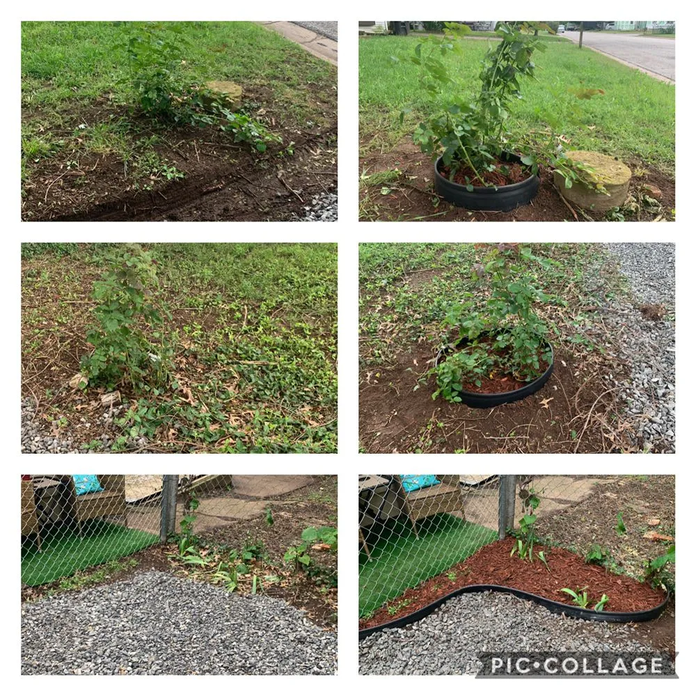 Local garden landscaping for year-round maintenance in Arkansas City, KS by Butler’s Outdoor Services