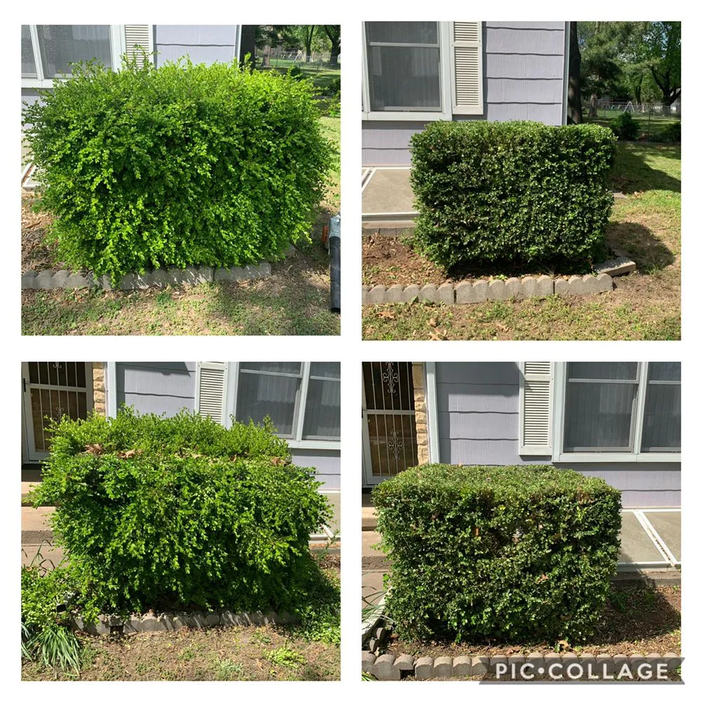 Expert landscape installation experts serving Arkansas City, KS - Butler’s Outdoor Services