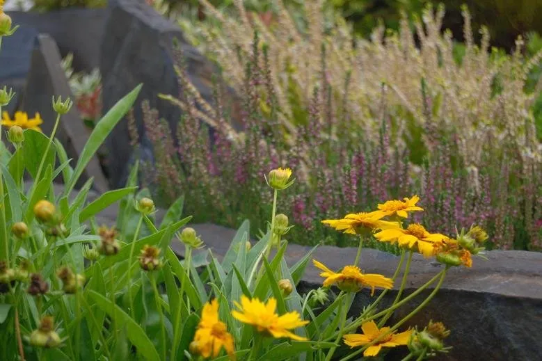 Expert outdoor landscaping for outdoor upgrades across Arbuckle, CA - Buttars Yard Service