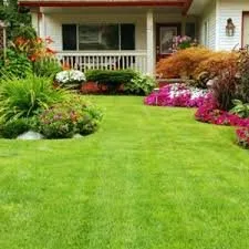 Reliable landscape design in Arbuckle, CA - Buttars Yard Service