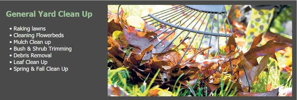 Expert outdoor landscaping in Paradise, CA - Butte County Gardening