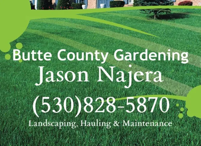Reliable landscape design with custom design in Paradise, CA by Butte County Gardening