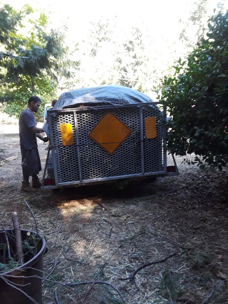Reliable yard cleanup service for year-round maintenance across Paradise, CA - Butte County Gardening
