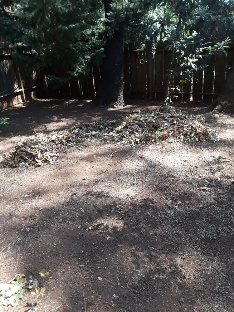 Top-rated landscaping services in Paradise, CA - Butte County Gardening