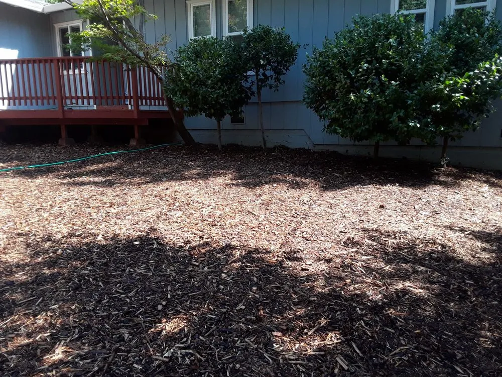 Local lawn mowing service near you across Paradise, CA - Butte County Gardening