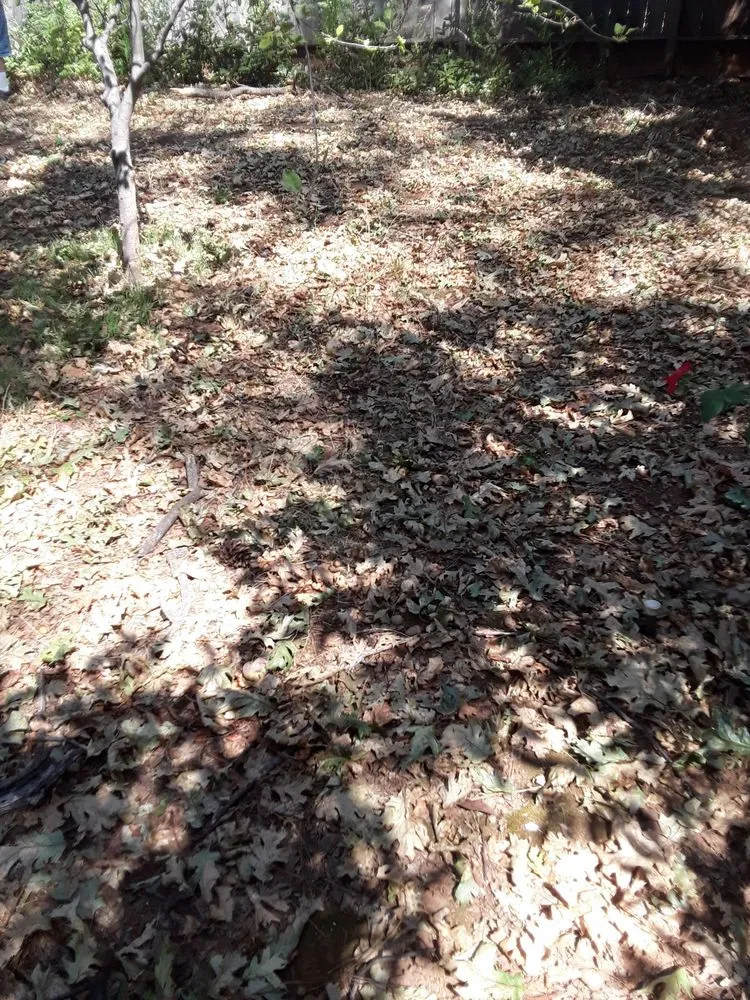 Professional residential landscaping for outdoor upgrades in Paradise, CA by Butte County Gardening