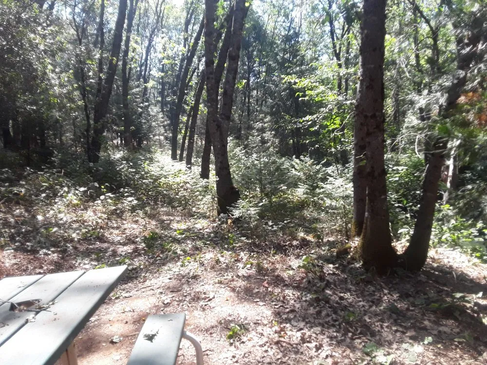 Affordable landscaping services for year-round maintenance across Paradise, CA - Butte County Gardening