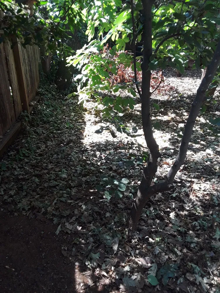 Reliable garden landscaping near you in Paradise, CA by Butte County Gardening