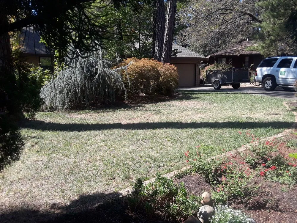 Trusted lawn care service in Paradise, CA - Butte County Gardening