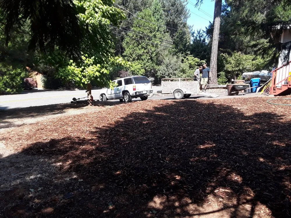 Trusted yard cleanup service experts serving Paradise, CA - Butte County Gardening