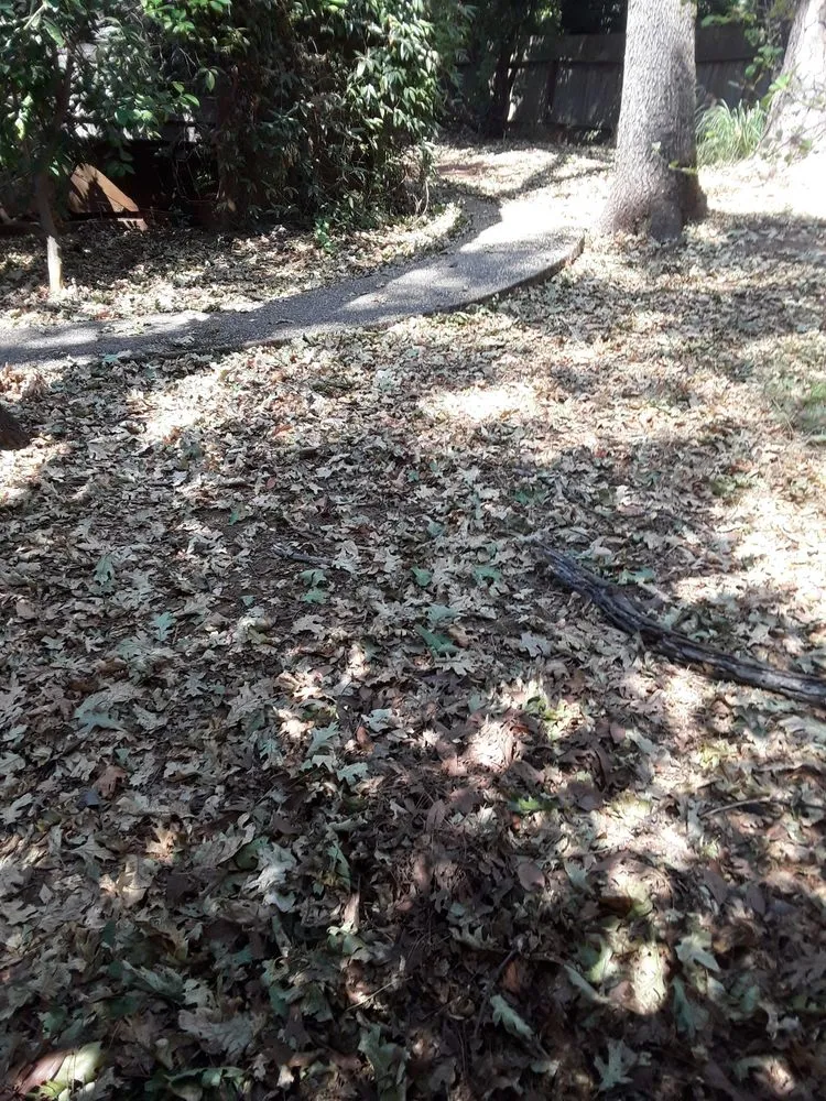 Top-rated landscape installation in Paradise, CA by Butte County Gardening