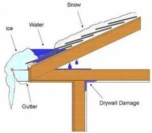 Top-rated landscaping services near you across Paradise, CA - Butte County Gardening