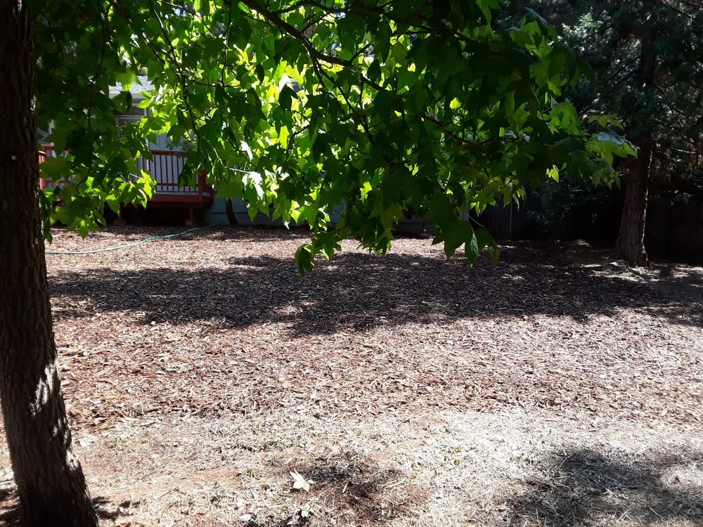 Top-rated lawn mowing service in Paradise, CA - Butte County Gardening