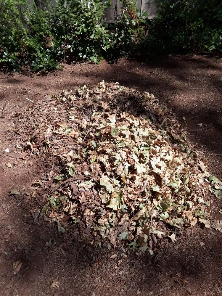 Expert lawn mowing service for beautiful yards across Paradise, CA - Butte County Gardening